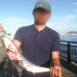 ショアジギ好調。ギリギリメジロに届かず！